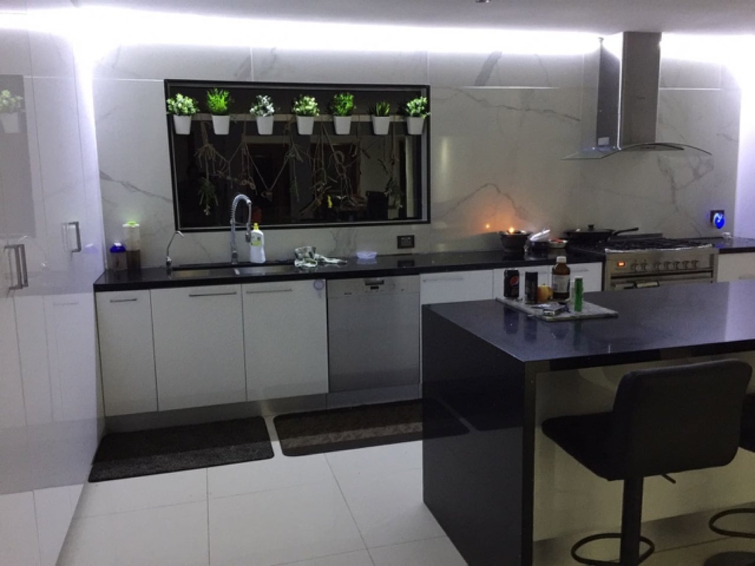 Gloss white kitchen with planted feature wall